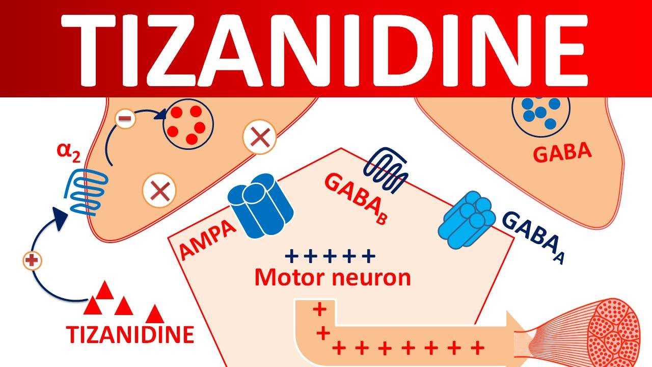 Tizanidine Tablets For Muscle Spasticity