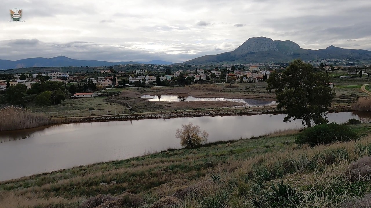 Στην Αρχαία Κόρινθο μαζί με τους λεφτάδες, μαζεύτηκαν και γυναίκες που προσέφεραν έρωτα με αμοιβή