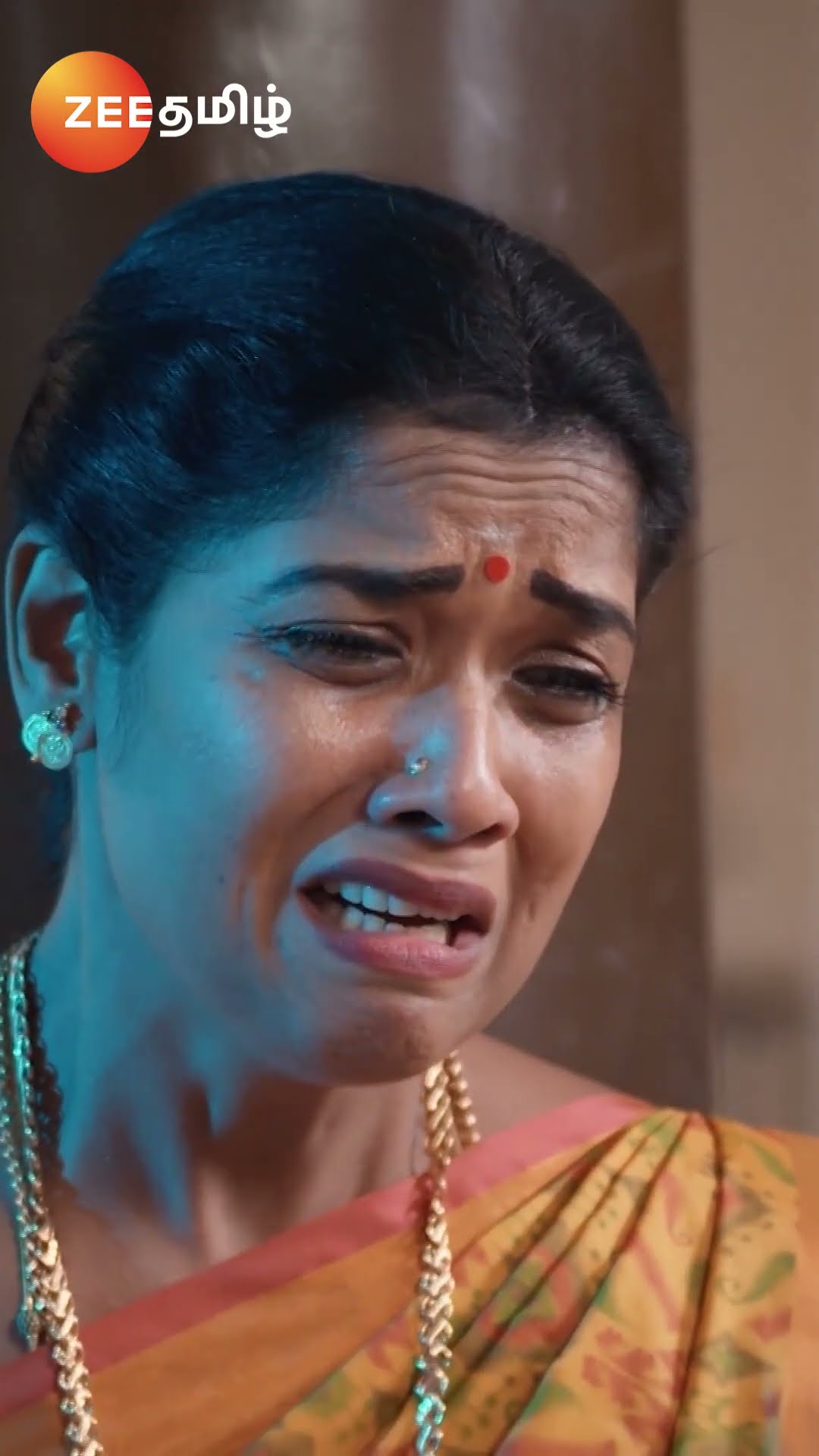 #SHRAVANI SUBRAMANYA #Shorts #Zee Kannada #Entertainment #drama