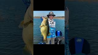 Why does the Senko work so well for bass fishing? | #Short | Learning the Wild Life