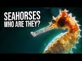 The Most Unusual Creatures In Our World