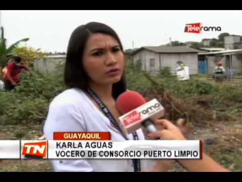 Realizan minga para impedir impactos por fenómeno del El Niño