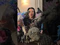 ゴジラ70周年2024年フィギュア徹底比較!#shorts #GODZILLA #ゴジ活はじめました #ゴジラフィギュア #GODZILLAxkong #ゴジラマイナスワン