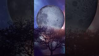 Relaxing Sleep &amp; Meditation Music 🎶 | Muzică pentru Somn și Meditație