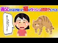 【2chほっこり】義父から引き取った猫がダッシュ頭突きしてくる
