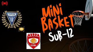 CD Póvoa x G D B Leça - SUB-12 - 7/12/2025