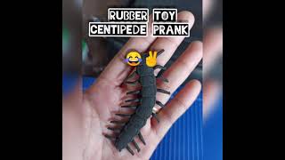 Rubber Toy Centipede Prank 1St Prank