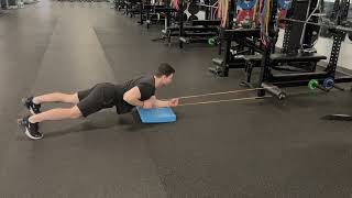 Front Plank Row Variations