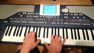Avicii - Wake Me Up (COVER) PIANO LESSON KORG PA800