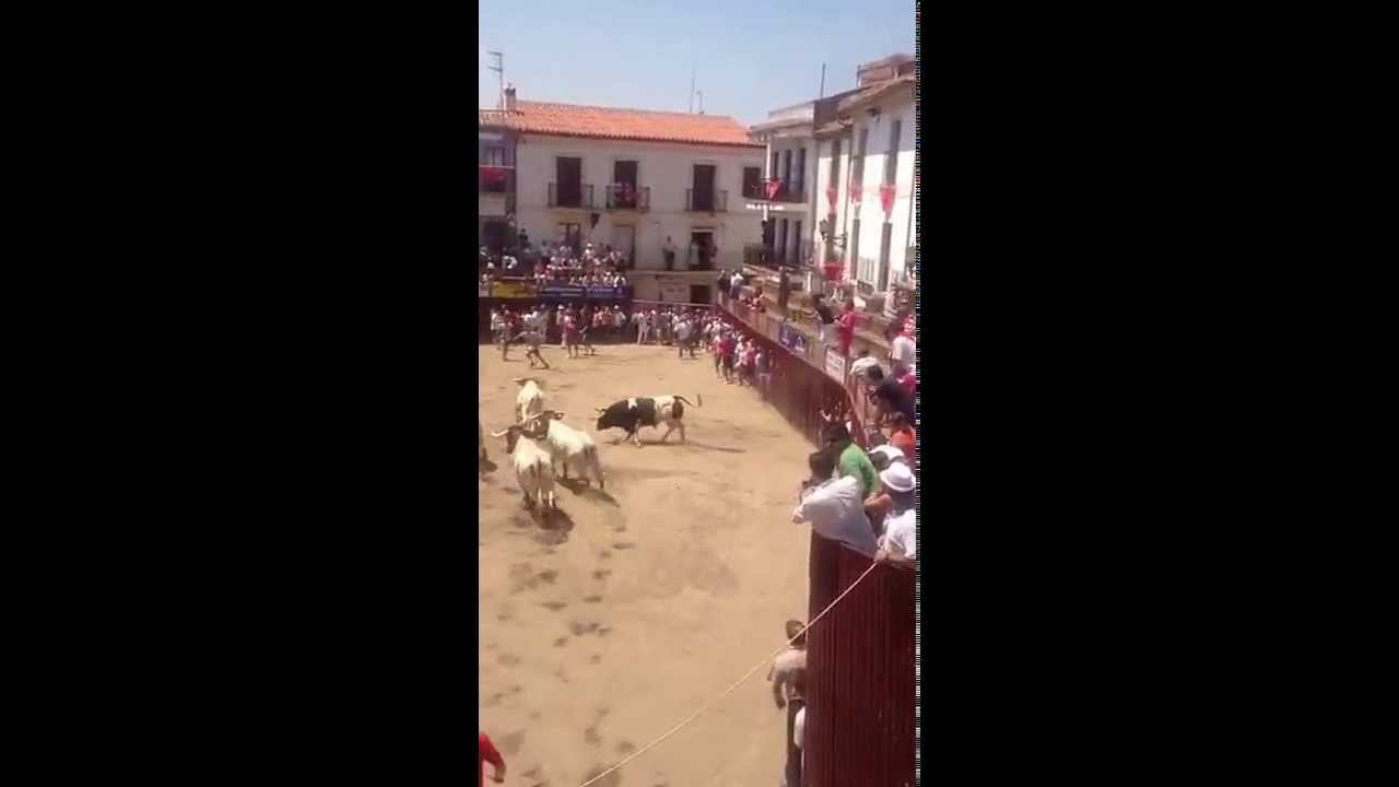 San Juan Coria 2013. Toro: Batán - Ganaderia: Sánchez Cobaleda