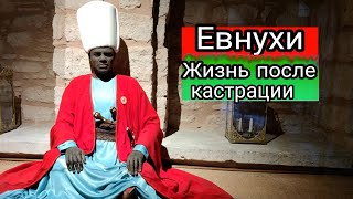 Евнухи. Жизнь в гареме после кастрации. Вся правда о Евнухах в Османской империи