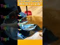 Funniest AnimalsMoments#funnyanimals #animalcomedy #dog#funny#funnyanimals#funnypets#animals