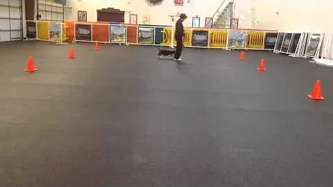 Bocephus Heeling