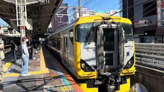 E257系500番台NB-16編成しおさい6号返却回送が津田沼で一時停止するシーン 2026.4.8