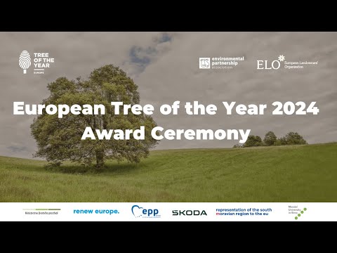 European Tree of the Year 2024 Award Ceremony – 20. 03. 2024