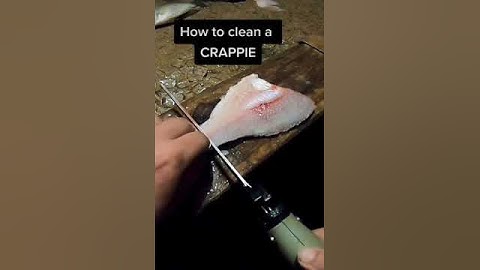 Step by Step - How to Fillet Crappie