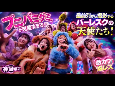 プニパニグミが可愛すぎる！　最前列から撮影するバーレスクの天使たち！ ROKUSAN ENJEL  2026/07/03  二部