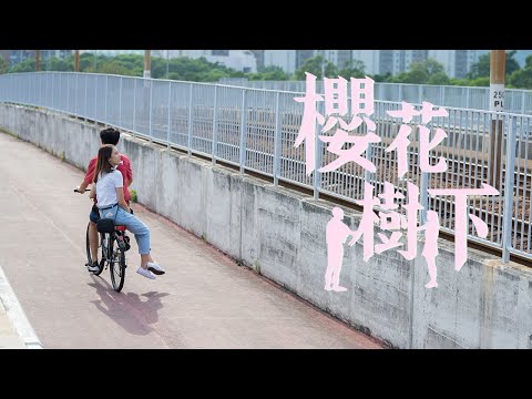 【MV】Cover | 張敬軒 《櫻花樹下》