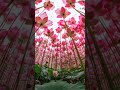 एक्सप्लेन करके आप कभी किसी को समझा नहीं सकते #housewifelife #nature #motherdaughter #dailylife