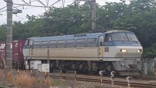 【EF66サメ牽引貨物列車！】JR貨物 EF66 123号機+コキ19B 吹A5仕業[79レ] 隅田川行 小田第三踏切通過！[2024.05.15(水)]