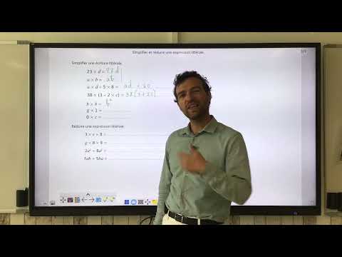 Simplify and reduce a literal expression