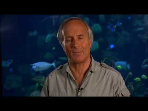 Jack Hanna from the Columbus Zoo talks about his f...