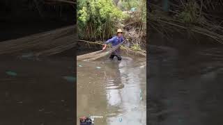 #Mengshi M817 Zhiye New Flagship @ Mengshi Technology#9162d