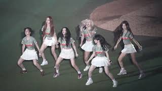 260815 Run for roses