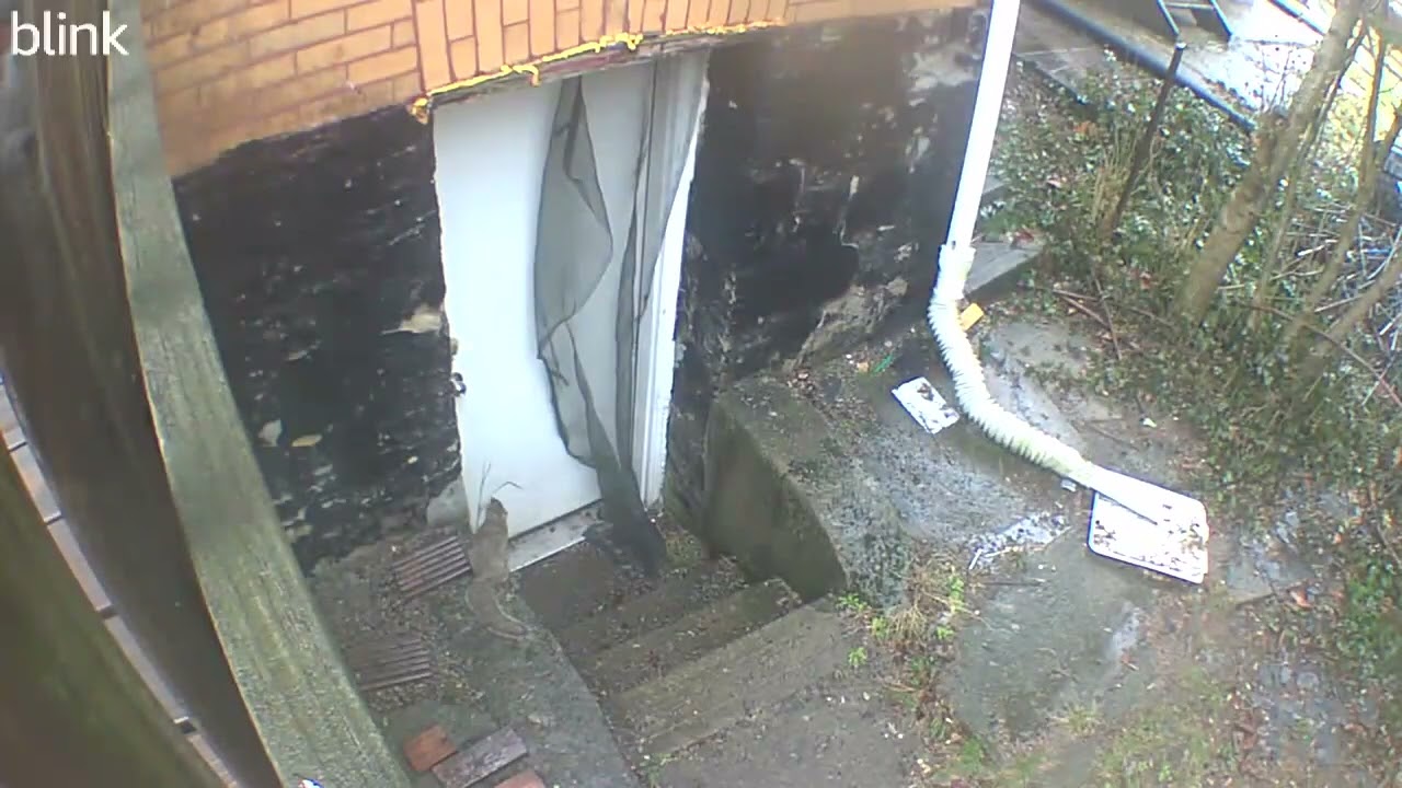 Knock knock where is the nut lady?