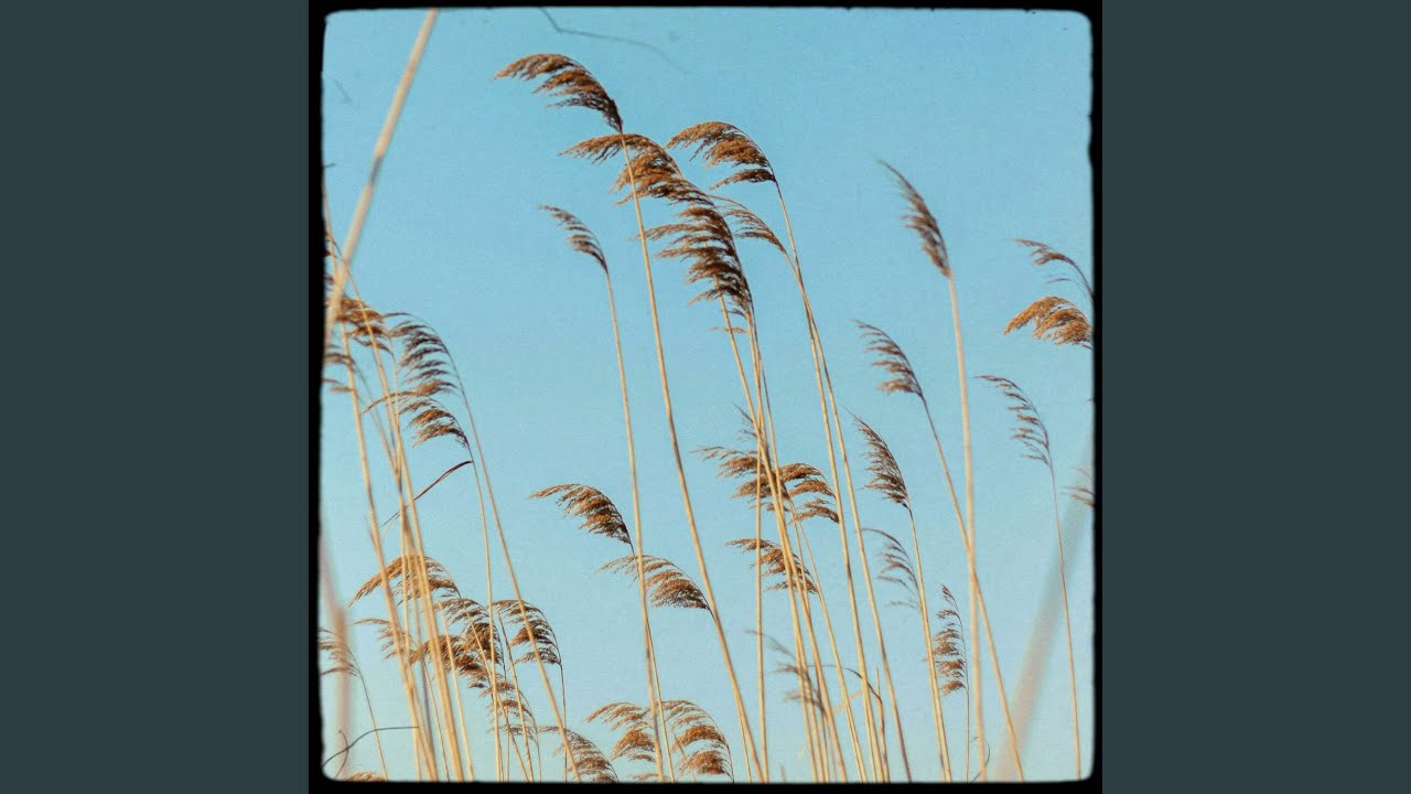 Watch Marram on YouTube Watch Marram on YouTube