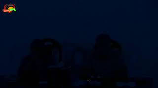 Celebrity A porta estreita - EDMUNDO SILVA Wealth