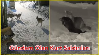 GÜNDEM OLAN KURT SALDIRILARI