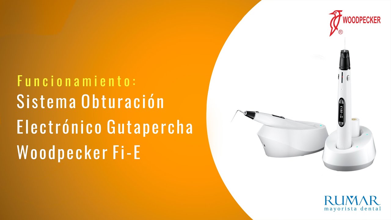 Sistema de Obturación Eléctrico Gutapercha Fi-E Woodpecker | Funcionamiento
