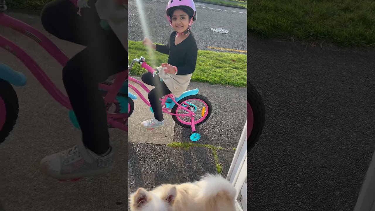 Доставка пиццы 