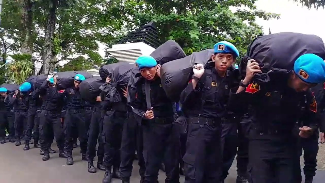 Live . . #1 KEMBALI DARI SPN CATAR POLTEKIP dan POLTEKIM