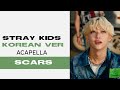 Stray Kids Scars CLEAR ACAPELLA 