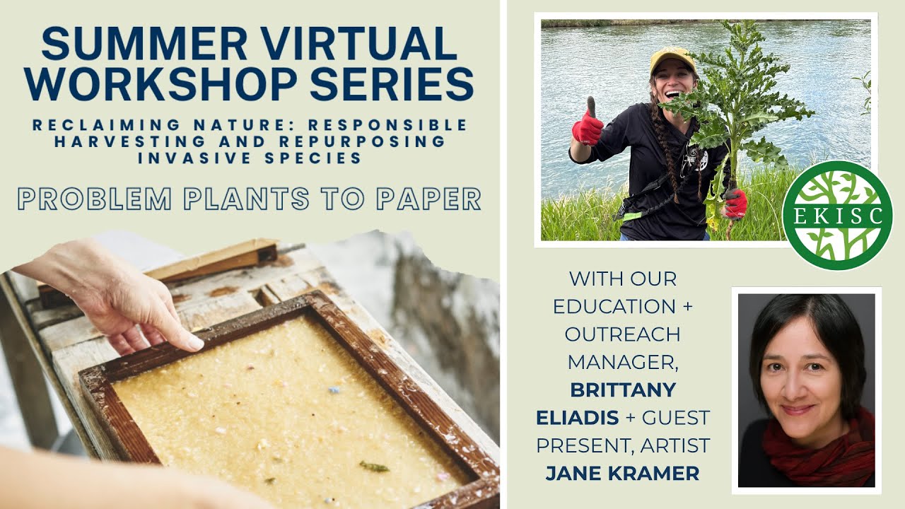 Problem Plants to Paper: Reimagining Invasive Species through Art