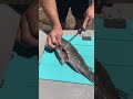 How to fillet black sea bass
