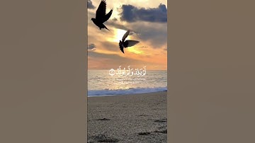 تلاوة هادئة جميله جدا 🥺🤍تذهب عنك الحزن🥺🤍قران كريم بصوت جميل جداً
