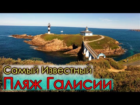 Video: Галисия тортун кантип бышырууга болот?