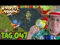 Blau blau blau blüht die Kraftnuss - Harvest Moon 64 #047