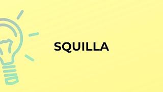 What is the meaning of the word SQUILLA?