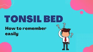 Tonsil Bed - How to remember?