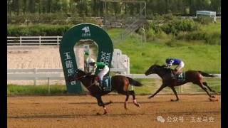 20260808 Imported Thoroughbred 3YO+ Class 4 to 5 2000m (Race 5)