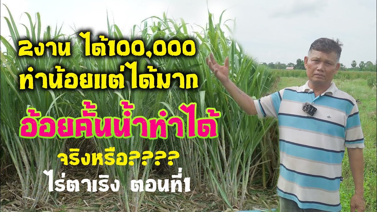 อ้อยคั้นน้ำทำรายได้กว่า200,000/ไร่ จริงไหม???
