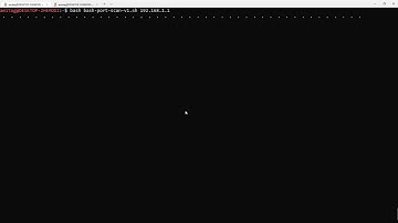 bash port scan