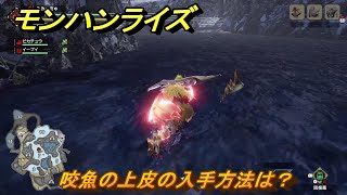 モンハンライズサンブレイク 咬魚の上皮の入手方法は? 【MHRISE】