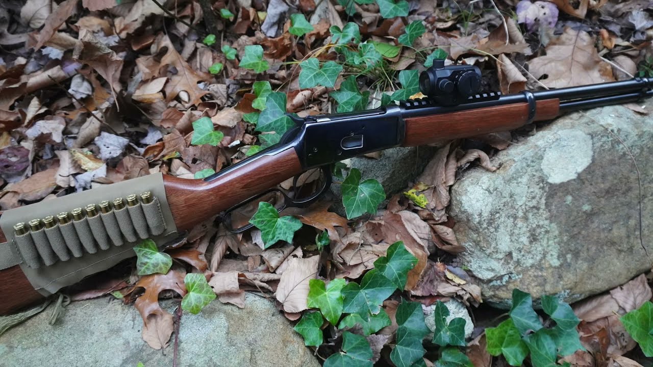 Rossi 92 Lever Action - Ban State Budget Carbine ??