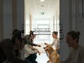 Harmonizing Homes with Paws: A Practical Daily Wellness Playbook