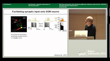 Carl Petersen - Synaptic mechanisms of sensory perception (2012)